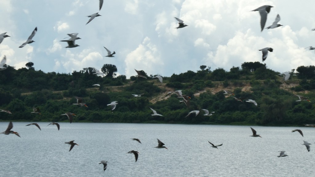 Dieses Bild hat ein leeres alt-Attribut; sein Dateiname ist p1020258.jpg.