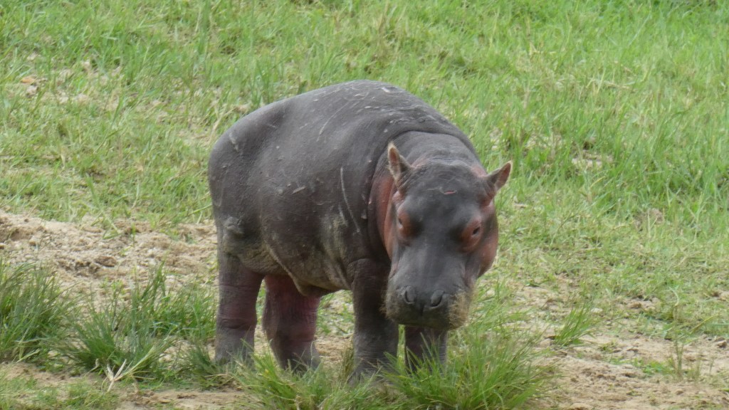 Dieses Bild hat ein leeres alt-Attribut; sein Dateiname ist p1020339.jpg.