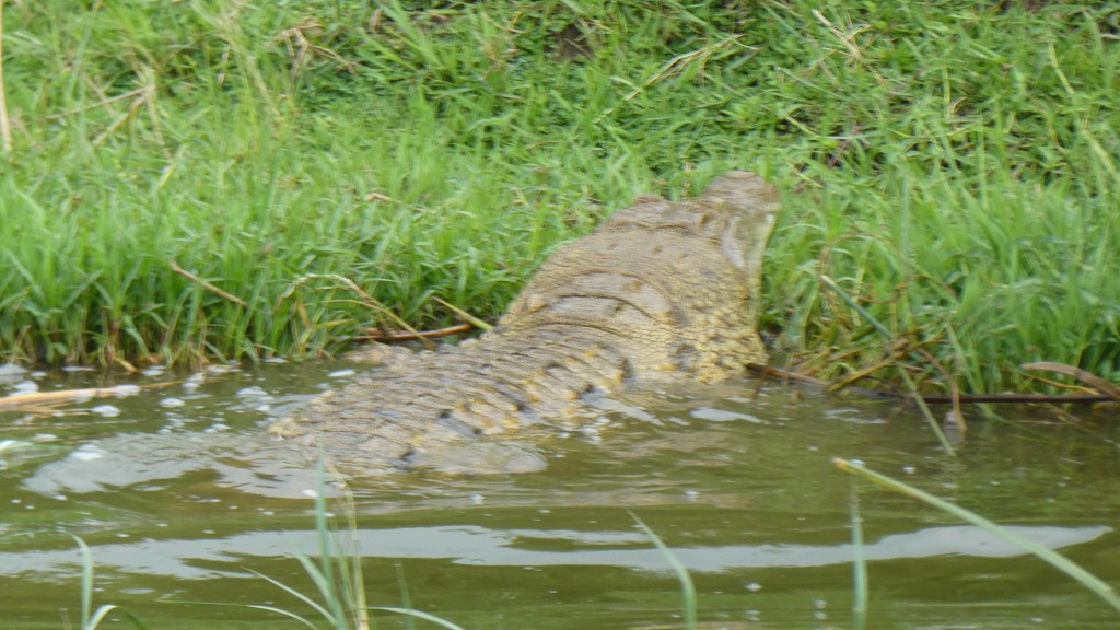 Dieses Bild hat ein leeres alt-Attribut; sein Dateiname ist p1020346.jpg.